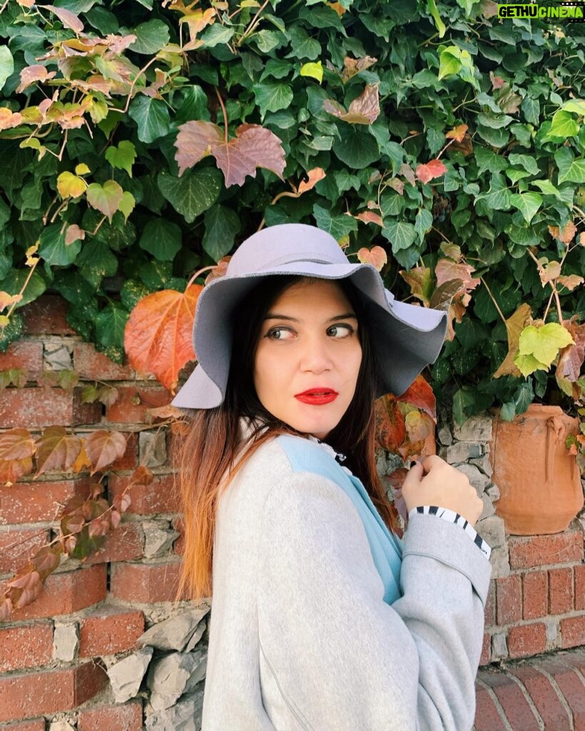 Feyza Civelek Instagram - I hope december gives me a chance 🍁✨