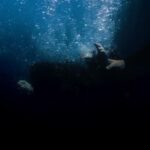 Finneas O'Connell Instagram -