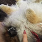 Florencia de la V Instagram - Solo es vida si es real 🤍