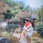 Fuka Koshiba Instagram – 「大奥」

本日、第7話の放送です☺︎
22:00〜
ぜひご覧ください(｡・・｡)

お庭でお散歩、気持ちが良い😊

#大奥
#フジ大奥