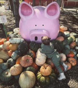 Gabby Barrett Instagram - Crazy! The last time we were at this pumpkin patch, I was pregnant with Baylah & now she’s feeding the goats like a natural! (Now pregnant with her brother lol) Time flies. What a JOY she is. 🤍🎃