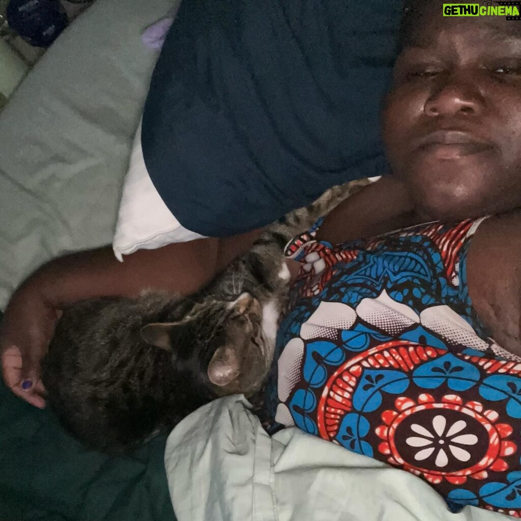 Gabourey Sidibe Instagram - The cats have become accustomed to our daily naps. They don’t care if the strike is over.