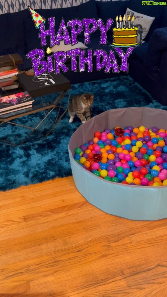 Gabourey Sidibe Instagram - Happy Birthday to our youngest @derrelljermainedupree !!!! 3 whole years of love and this year instead of traumatizing him with a candle in some cat food we got him a Ball Pit!!! Best idea ever! Aaron hates it though.