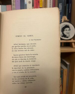 Gabriel Boric Instagram - Antes que termine el día, y en homenaje al natalicio de nuestra gran Gabriela Mistral, les comparto dos poemas de su desgarrador “Desolación” de 1922: 

Interrogaciones / Himno a un árbol

Un abrazo