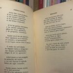 Gabriel Boric Instagram – Antes que termine el día, y en homenaje al natalicio de nuestra gran Gabriela Mistral, les comparto dos poemas de su desgarrador “Desolación” de 1922: 

Interrogaciones / Himno a un árbol

Un abrazo
