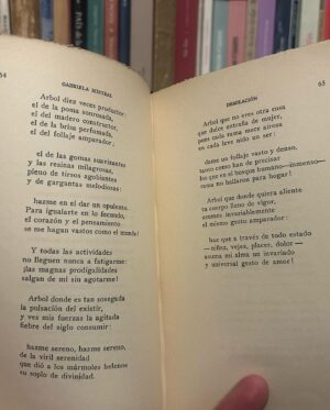 Gabriel Boric Instagram - Antes que termine el día, y en homenaje al natalicio de nuestra gran Gabriela Mistral, les comparto dos poemas de su desgarrador “Desolación” de 1922: 

Interrogaciones / Himno a un árbol

Un abrazo