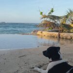 Gabriela Fadel Instagram - Eu nunca fui triste e se alguém disser que eu fui é mentira