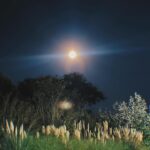 Gabriela Sari Instagram - Luna Llena en Escorpio sería el tipo de noche favorita y la de ustedes? 🦂💋🤓🌑