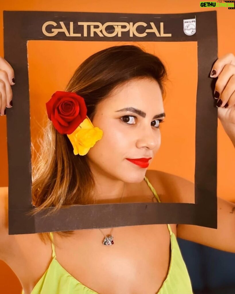 Gal Costa Instagram - 🌺🌼Muitas homenagens à nossa Gal no Carnaval 2024! Gal eterna ♾️ #EquipeGal #GalCosta #GalnoCarnaval