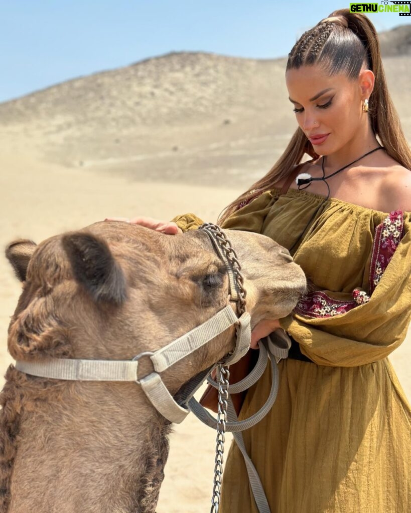 Gala Caldirola Instagram - Se acabó la espera, esta noche desde las 21:00 por @canal13cl la final de tierra brava QUIEN QUIERES QUE SEA EL GANADOR ? Luis o Fabio ? Y luego un tremendo primer capítulo de @ganaroservir ❤️