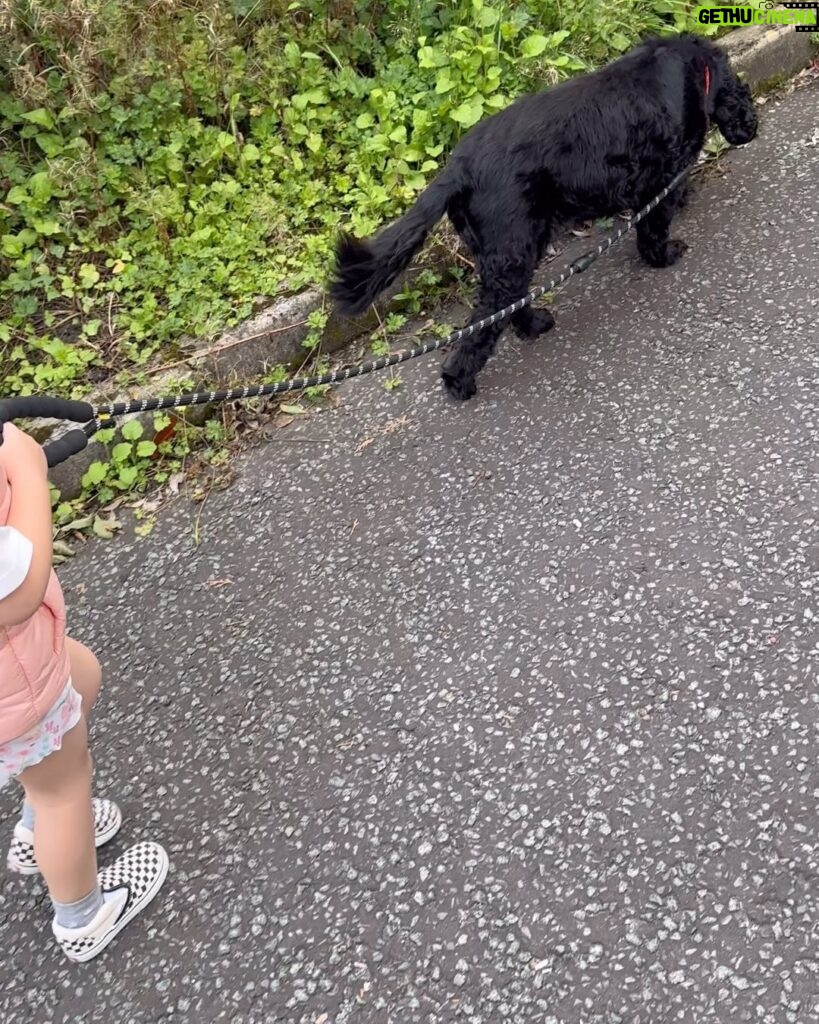 Gemma Atkinson Instagram - Unfortunately for myself, Norman & Ollie, Mia only knows the chorus of Flowers… and it was sang on repeat the entire walk 🤦🏼‍♀️😂 🌸