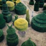 George Harrison Instagram - Came the Lightening, Twenty Poems for George, is in bookstores today, Tuesday 21st June, Summer Solstice. I'm excited to share my words, recollections and images with you. Olivia Music: Days and Nights by @unkleofficial featuring @dhaniharrison Directed by @joelknoernschild