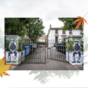 George Harrison Instagram - Have you seen @abbeyroadstudios’ celebration of George’s All Things Must Pass 50th Anniversary? Share your photos using the hashtag #allthingsmustpass

Click link in bio for all things ATMP 50th.