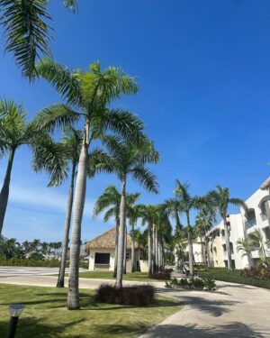 Georgia Hassarati Instagram - DominCant come to the phone right now 🏝️

@hrhcpuntacana 
#HRHCPuntaCana #HardRockHotels #RockandReel