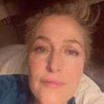 Gillian Anderson Instagram – shut up. Thanks for joining me. 

#scoop @netflixuk @netflix