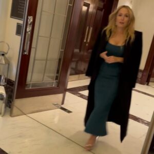 Gillian Anderson Instagram - What a Scoop 👀

Dress: @EmiliaWickstead
Styling: @marthaward 
Jewellery: @solangeazagury
Bag: @anyahindmarch
Shoes: @gianvitorossi
Hair: @jamesrowehair 
Make up: @amanda.grossman