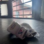 Gina Carano Instagram - Therapy back in full swing. 🤍 let the healing begin.