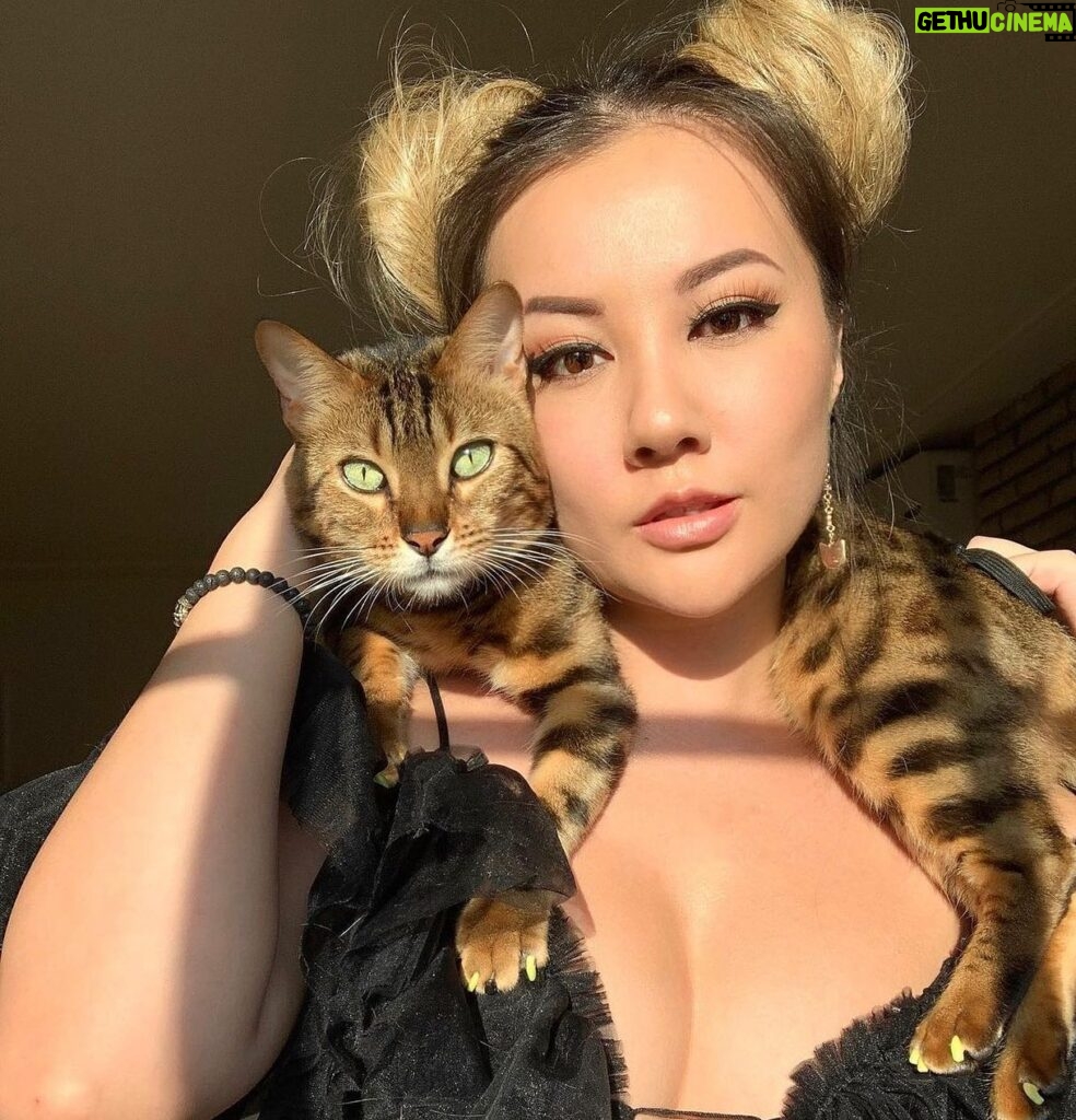 Gina Darling Instagram - A girl and her tiger ❤️ #cat