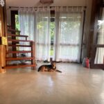 Giovana Cordeiro Instagram - Viajar p/ morar em outras casas 🏡🥰