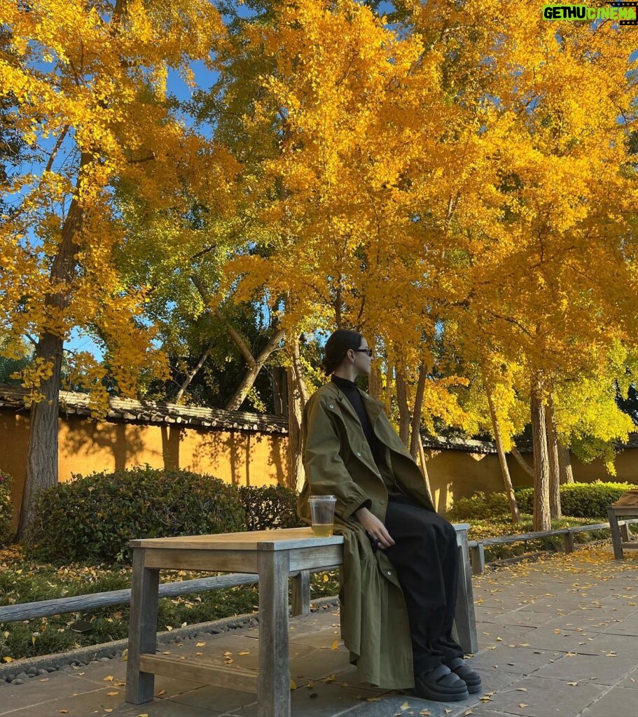 Gisselle Kuri Instagram - El domingo fui a Japón, pero no era Japón jeje. Algún día de estos iré al de a deveras 🤞🏻. Por lo pronto, esto fue una probadita deliciosa. Tqm LA, y a ti más otoño 🍂🫰🏻.
