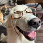Gizem Karaca Instagram - Summer Update 🫶🏻🌞🌴🐿🤓