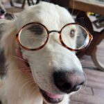 Gizem Karaca Instagram - Summer Update 🫶🏻🌞🌴🐿🤓