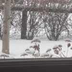 Glenn Close Instagram – Finally…SNOW!