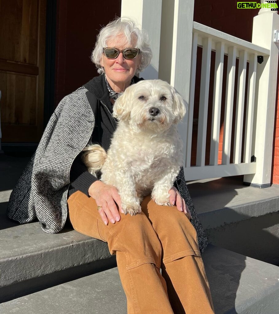 Glenn Close Instagram - The Pip and I are off on another adventure!! Additional shooting on BACK IN ACTION with the fabulous JAMIE FOX and the equally fabulous CAMERON DIAZ. Pip@is ready to fill his usual role of Emotional Support Producer. #jamiefox #camerondiaz #sirpippinofbeanfield @lafayette148ny @carhartt