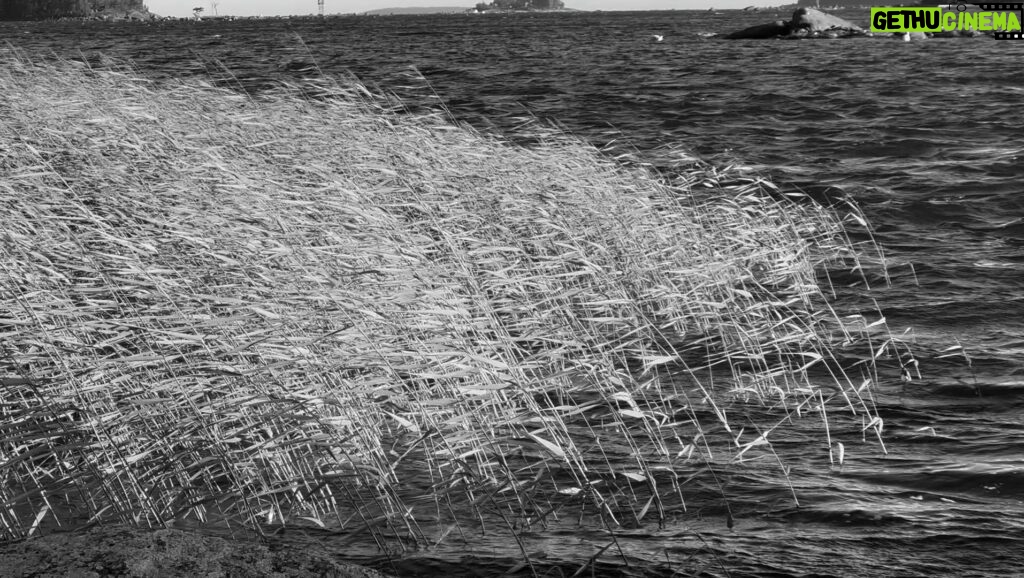 Glenn Close Instagram - Wind in the Finish Archipelago!