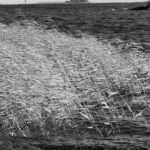 Glenn Close Instagram – Wind in the Finish Archipelago!