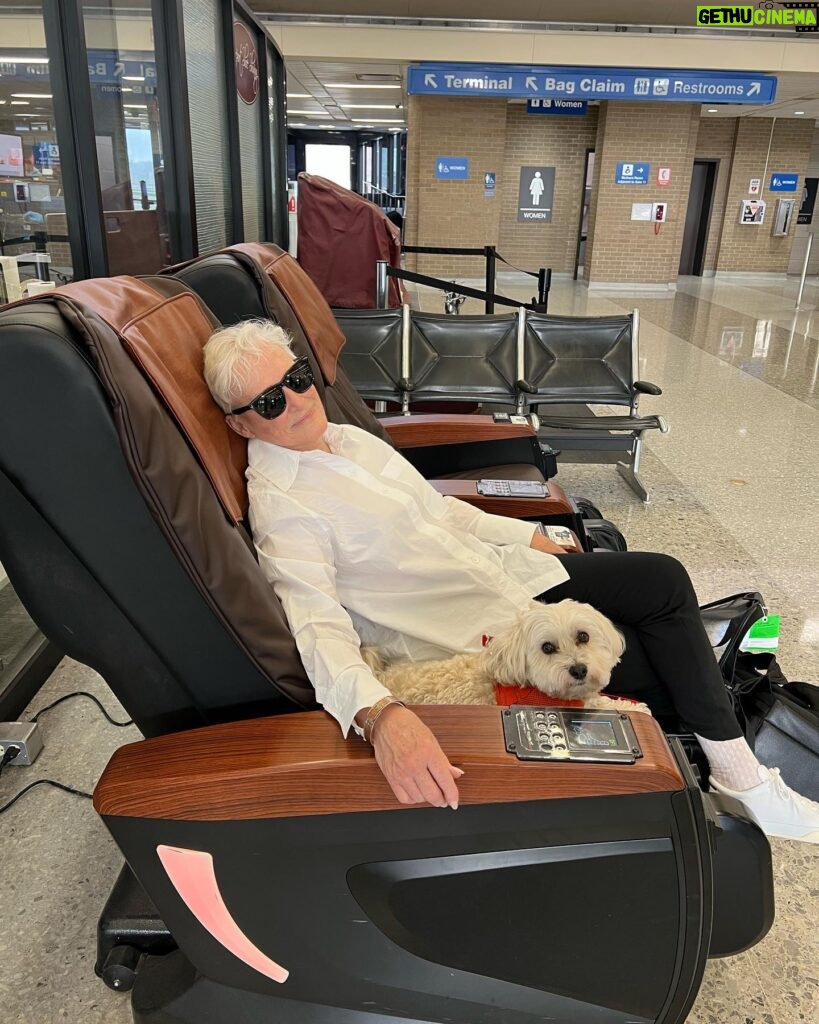 Glenn Close Instagram - Pip and his human on their way HOME after a month away. The snow is finally melting. The bears are awake. I will lie facedown and smell the earth. #springinthemountains mountains #spring #moose #blackbears #havanese #havaneseofinstagram #oliverpeopleseyewear