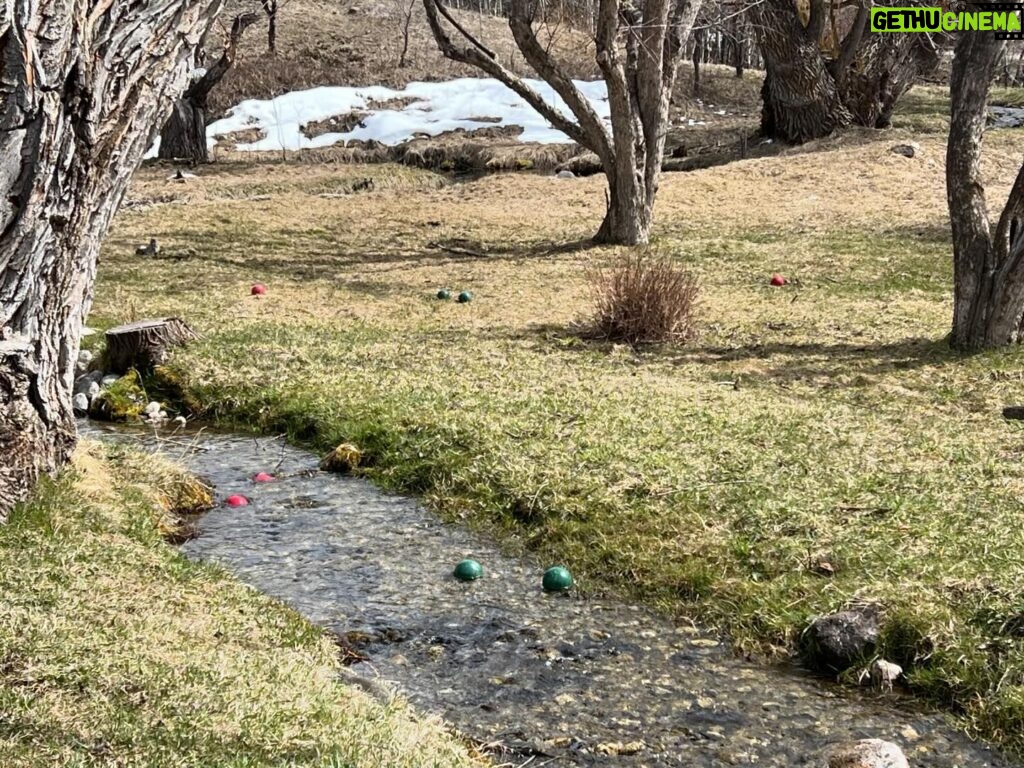 Glenn Close Instagram - Cross Country Bocce. The two green balls in the stream are mine. The two red balls in the stream are Annie's. 😆The two green balls in the distance are my son-in-laws. He of the uncanny hand/eye coordination. WE WON! #bocce