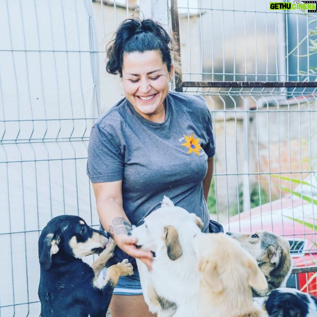 Gloria Steinem Instagram - I’m so proud to support my friends big and small at @honeyspackofhope — check out their post below with ways to support the work they do and the animals they help. — “We’re really grateful to @gloriasteinem and the Gloria Fund for a grant that is helping us help animals AND people. As Gloria has always taught, we should never 'silo' causes. We can help humans AND animals AND the environment AND so much more. Thanks to this grant we’re: 🍯 Funding TWO 2-day sterilization projects led by @jeta_tier_und_mensch , covering up to 100 sterilizations paying an amazing Albanian woman to manage the efforts. 🍯 Co-piloting an education project with @animalsneedme . Thanks to this money, we can pay an education coordinator’s salary. She’ll lead regular workshops to educate the public, especially kids, about dogs and cats & how to treat them! Education is so key to creating change. 🍯 Providing monthly financial support to women who foster via Animals Need Me. Many of these women cannot work for various reasons (husband won’t allow it, economy, etc.). Despite these challenges, they open up their homes to shelter animals, and we think they deserve support! 🍯 Covering the costs of a workshop with @dogcoachingcenter - in conjunction with Animals Need Me, for dog owners in Shkodra. Supporting a rad small business educating people so they don't ever give up their dogs = win, win! 🍯 Contributing to staff salaries for: 1) cat sterilization projects with Animals Need Me 2) two female JTUM employees who manage the shelters and handle all emergencies Please follow us, donate, like our posts, and share. We are brand new and appreciate every act of support - big or small!” #animalwelfare #animals #animalsandpeople #NGO #doinggood #hope