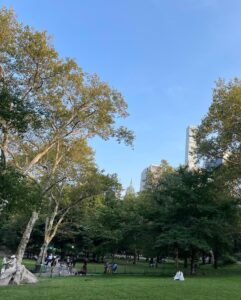 Go Ara Instagram - #centralpark#hi#newyork#happytime#time ♥️💕🎁💕 #가을 ♥️💕♥️💕