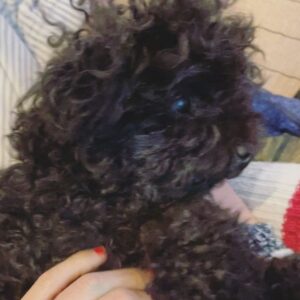 Gong Hyo-jin Instagram - 