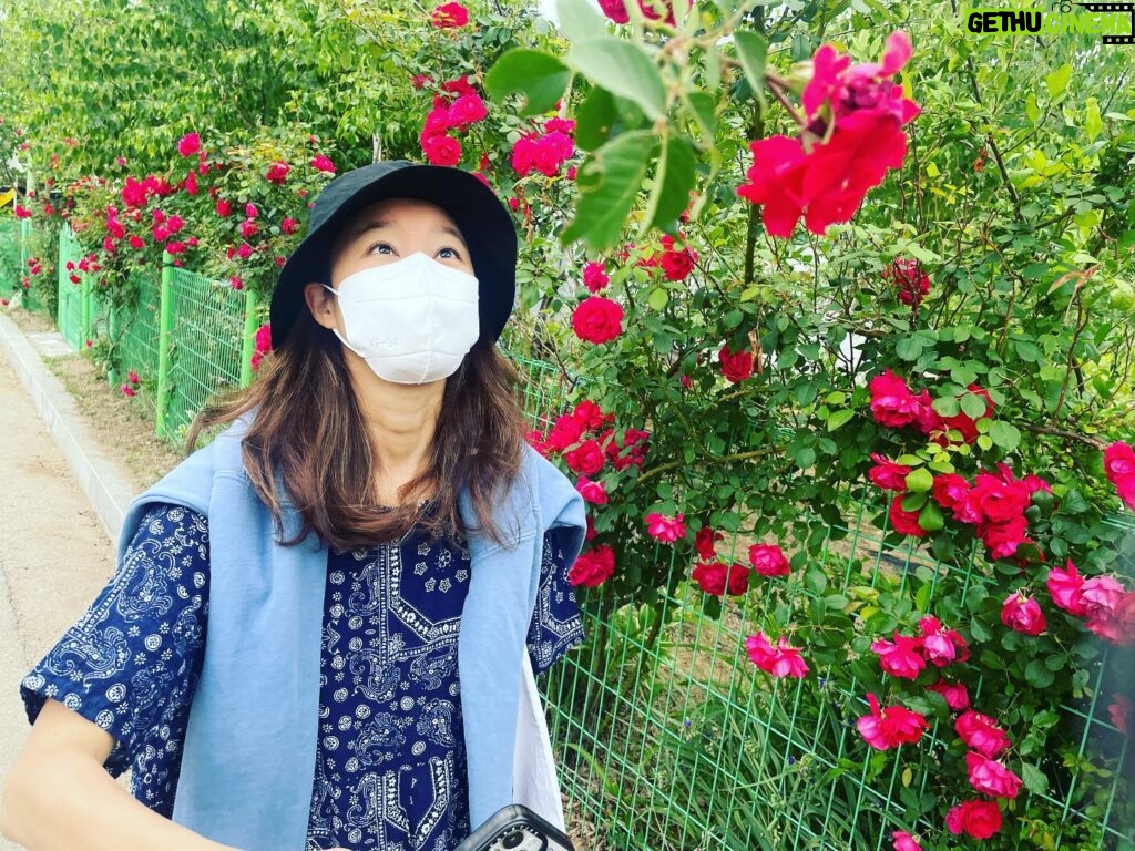 Gong Hyo-jin Instagram - 혜진이 👀 참 크고 이쁘다..