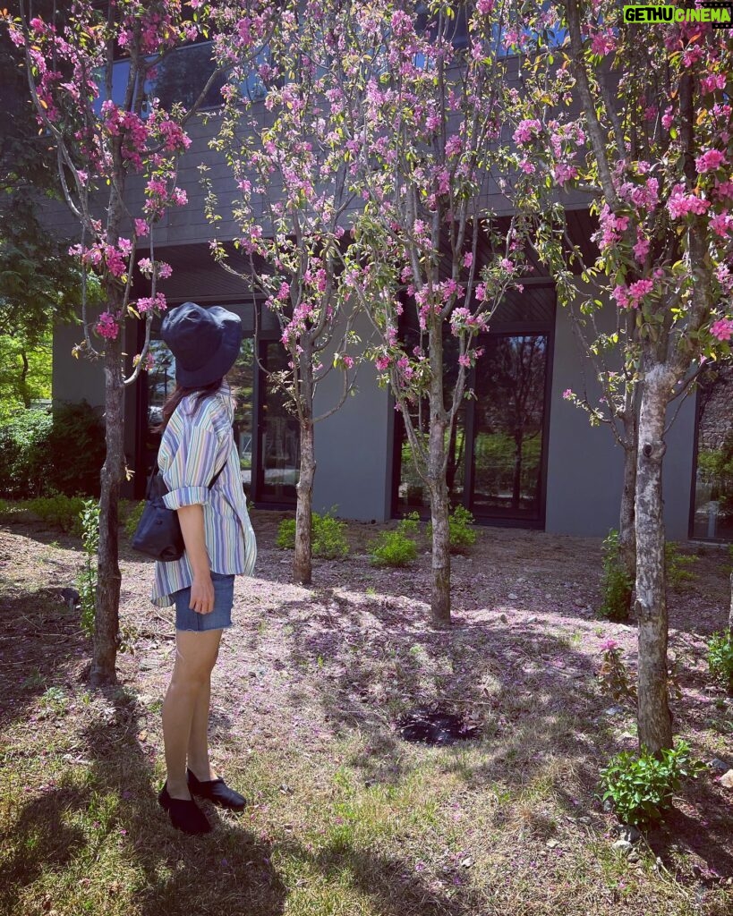 Gong Hyo-jin Instagram - 🧳🌸