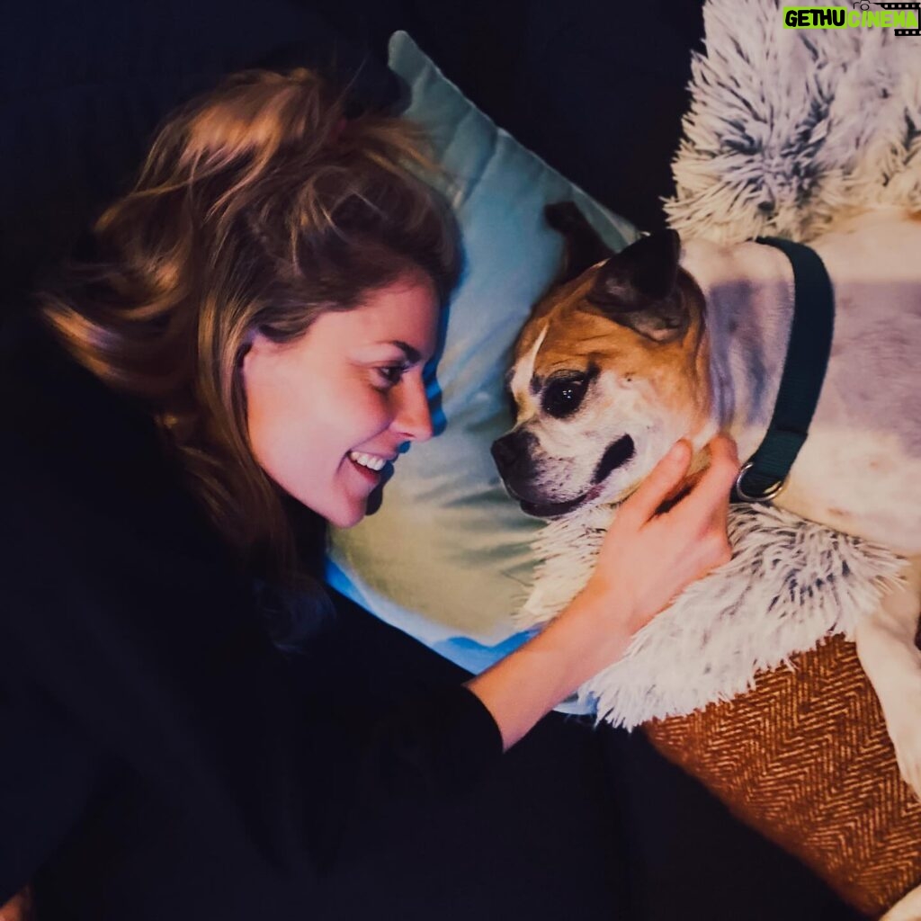 Grace Helbig Instagram - My silly Goose moved on to that golden grass on the other side today. My princess monster, my wiggle butt. I am heartbroken. Eleven years with my beautiful, emotional goof. I was in way over my head when I got you, but somehow couldn’t imagine anyone else taking care of you, and so we were merged. Two high anxiety ladies found each other and did the best we could. I’m even writing this caption to you like you’re still alive and literate! You’ve seen me through it all, and you loved me every time I didn’t like me. You anchored me at times I wanted to disappear and grounded me when I wanted to float away. Your happiness fueled me. You gave me something to care about that was bigger than the surface things I thought I should care about. I got sick and you stayed healthy, and I can’t thank you enough for your consistency in the face of weird change. Again, writing a caption as if my dead dog will read it! Oh well! I love you, Goose, you beautiful maniac!! 🐶🥹💖