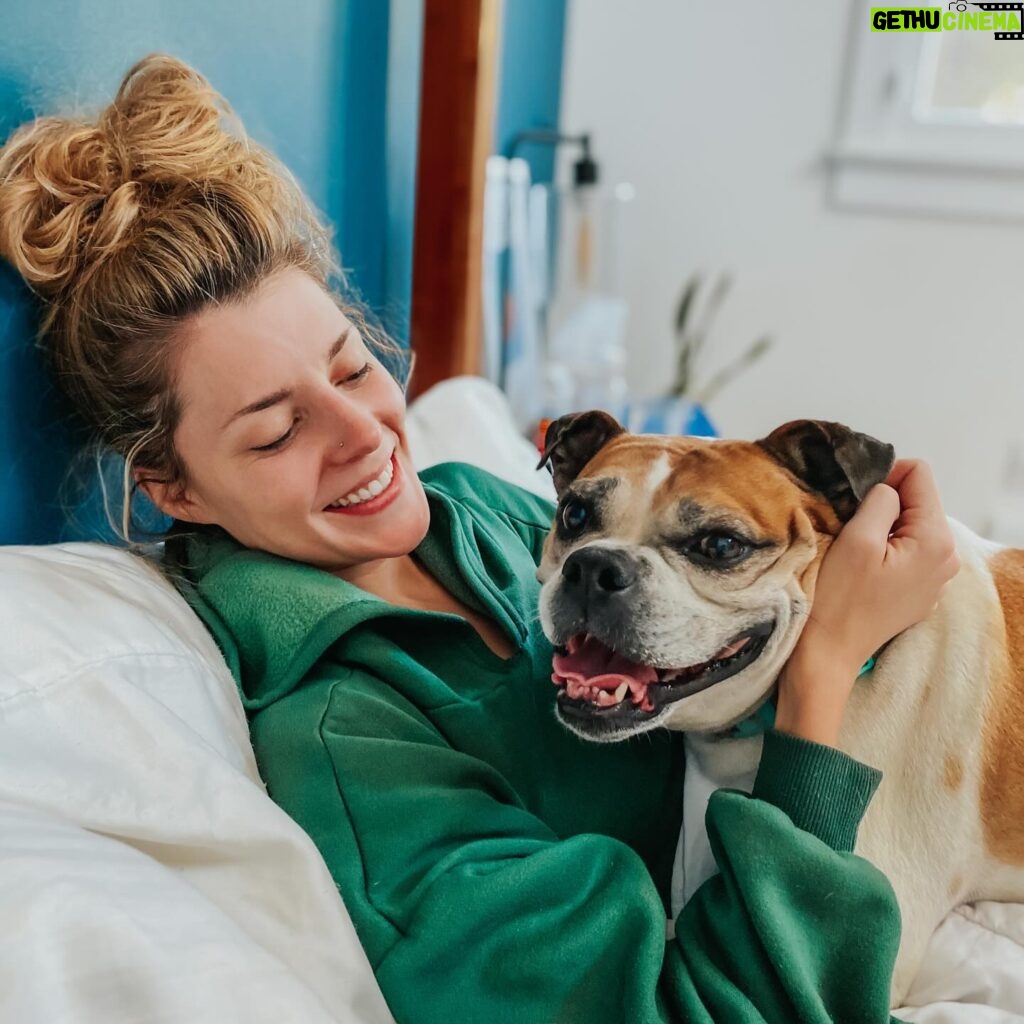 Grace Helbig Instagram - My silly Goose moved on to that golden grass on the other side today. My princess monster, my wiggle butt. I am heartbroken. Eleven years with my beautiful, emotional goof. I was in way over my head when I got you, but somehow couldn’t imagine anyone else taking care of you, and so we were merged. Two high anxiety ladies found each other and did the best we could. I’m even writing this caption to you like you’re still alive and literate! You’ve seen me through it all, and you loved me every time I didn’t like me. You anchored me at times I wanted to disappear and grounded me when I wanted to float away. Your happiness fueled me. You gave me something to care about that was bigger than the surface things I thought I should care about. I got sick and you stayed healthy, and I can’t thank you enough for your consistency in the face of weird change. Again, writing a caption as if my dead dog will read it! Oh well! I love you, Goose, you beautiful maniac!! 🐶🥹💖