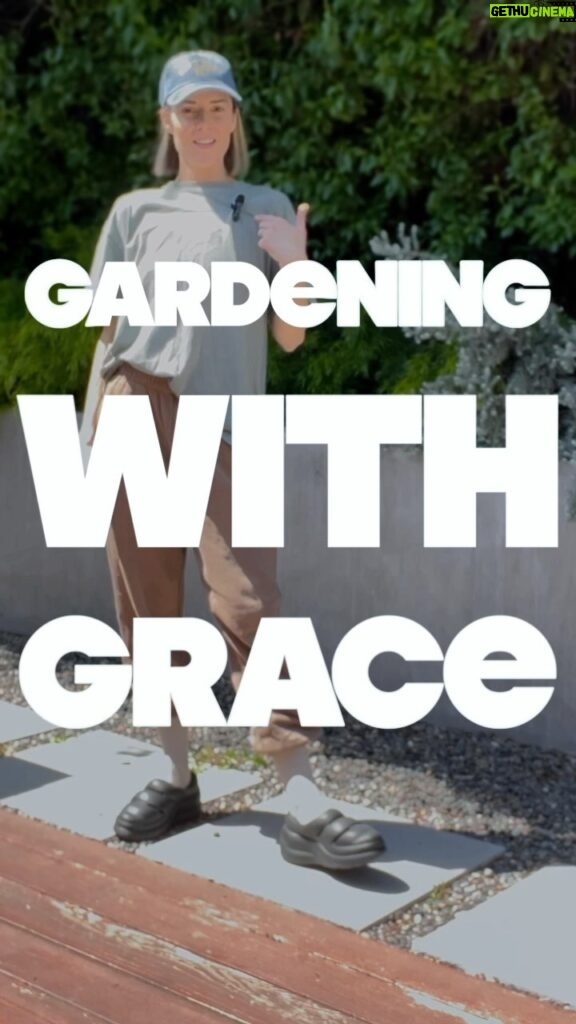 Grace Helbig Instagram - Trying something a little new. I took a day for myself and got my hands dirty. My plants have been neglected for so long it was time to give them some love. She’s a natural outdoors(wo)man. If you wanna watch the full “Day of Grace” go to my YT channel 🙃