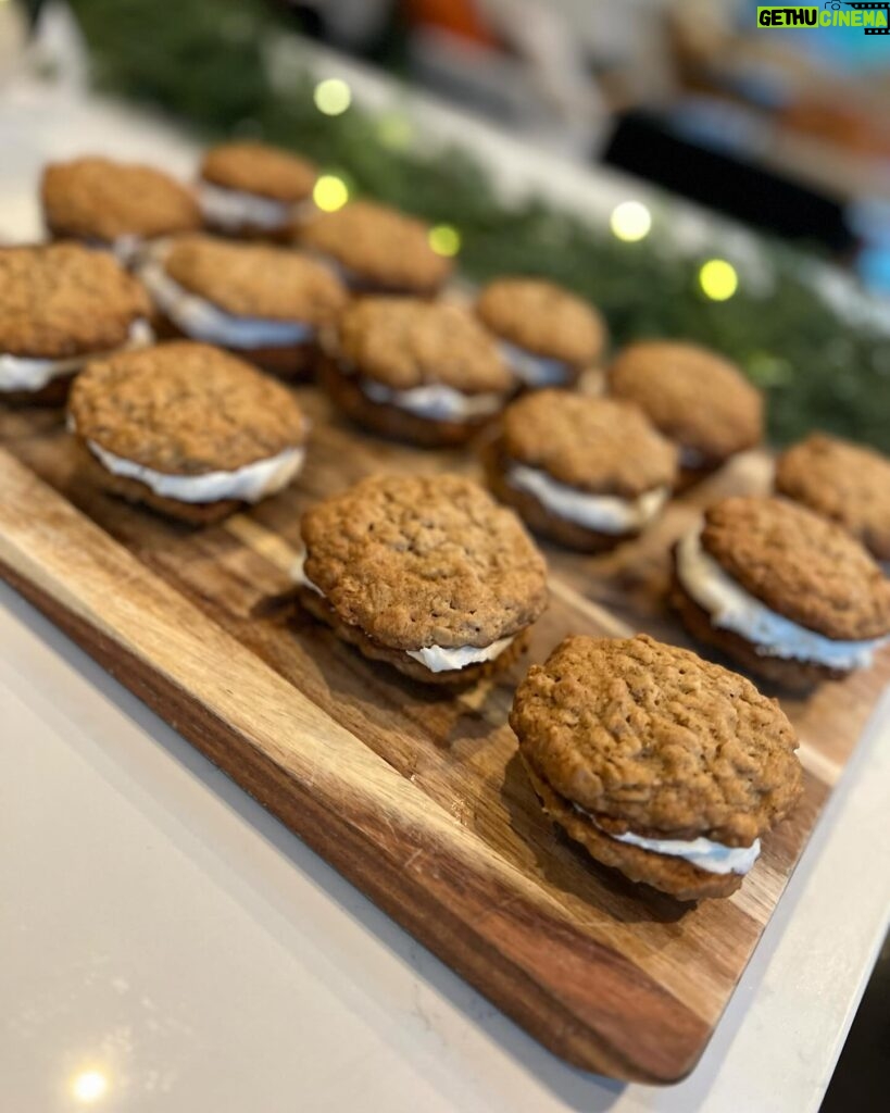 Grace Helbig Instagram - This ol bag o’bones got out of the house this week! Among other things! We fed our inner child some tea, we made some homemade oatmeal cream pies, we became a “decorates for Christmas” kind of person and we vlogged about all of it. We’re hulking out on wholesomeness over here. It’d be disgusting if it wasn’t so damn sweet. Link in the bio if you wanna watch. 🙃