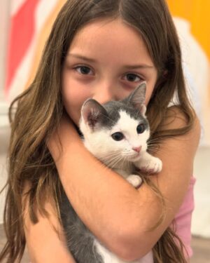 Gredmarie Colón Instagram - Wow puro amor en nuestro hogar. Gracias Dios 🙏🏻❤️🐱

Jamás había tenido gatos y jamás pensé que tendría alguno. Kamilia era la que soñaba con tenerlos. Yo sinceramente me rehusaba, porque estoy consciente de que tener animales es una gran responsabilidad. Aceptamos el compromiso como familia y solo fuimos en busca de un gat@ pero salimos con dos, pensar en separar a esas hermanitas nos partía el corazón. Esperamos una semana porque las iban a operar en el mismo shelter donde las rescataron. Kamilia no se imaginaba la sorpresa que le teníamos y por eso su reacción en el video anterior. Sin duda alguna adoptarlos fue la mejor decisión. Me quedó impresionada con lo limpi@s que son los gatos, la verdad no dan ni trabajo y son bien cariñosos pero a la vez muy independientes. So far so good. Somos madres primerizas de gatos. Cualquier consejo es bien recibido. 

Bendiciones familia 🥰😘

#family #kittens #cats #kamilia #catmomlife #adopted #lovebunddle #gratitude #sugar #cookie #sisters