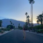 Greta Onieogou Instagram – palm springs takeover 🌴