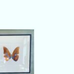 Ha Ji-won Instagram -