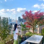 Ha Ji-won Instagram - 가을햇살🍁너무 이뻐🌍