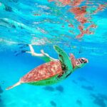 Han Ji-hyun Instagram - 거북이🐢와 나 🤿 마지막 물고기🐠🐟
