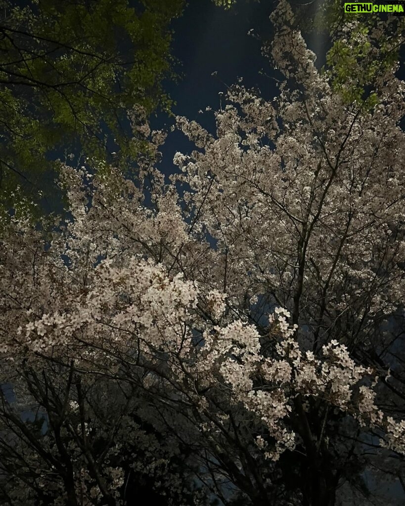 Han Seon-hwa Instagram - 4월조각🌿🌼🌸