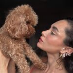 Hande Doğandemir Instagram - ben ginger manzaram ve ayçiçekleri 🌅🌻
