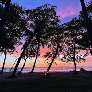 Hannah Ferguson Instagram - “I feel very passionately that we need to take care of the planet and everything on it. Whether it's saving the Amazon or just being kind to those around you, we need to take care of each other and Mother Earth.” - Olivia Newton-John