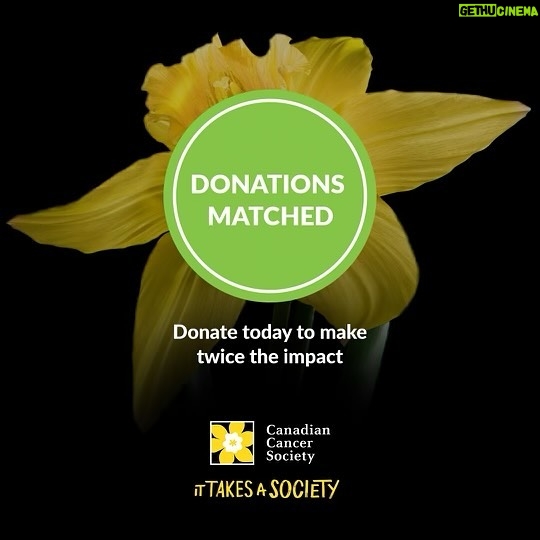 Hannah Simone Instagram - This April I am wearing my daffodil pin and supporting @cancersociety for Daffodil Month to help fund world-leading research and compassionate support that could change the future for someone you love.  Donate today at Cancer.ca and have your donation matched and make twice the impact. #HelpHopeBloom